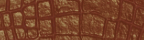 Brownrider