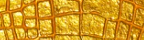 Goldrider